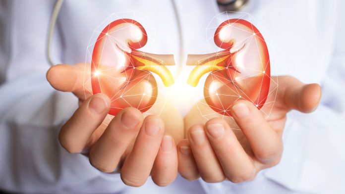 Here are 7 warning signs of kidney damage
