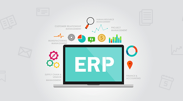 Custom ERP Software Development: The Pros and the Cons