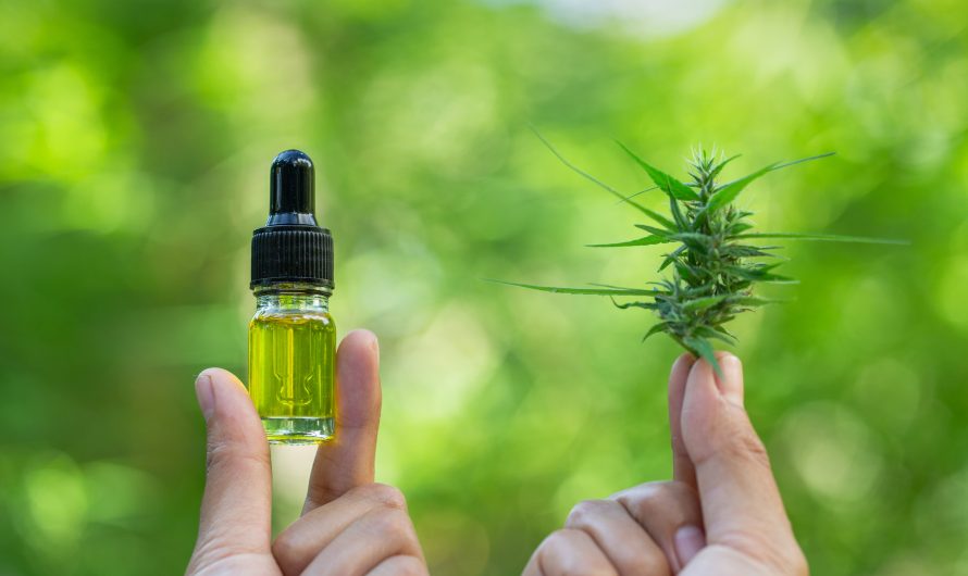 Cbd for arthritis pain. Here’s what you should know