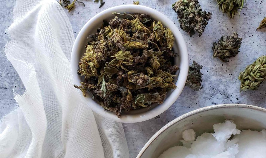 Recipes with CBD Oil and Cannabis